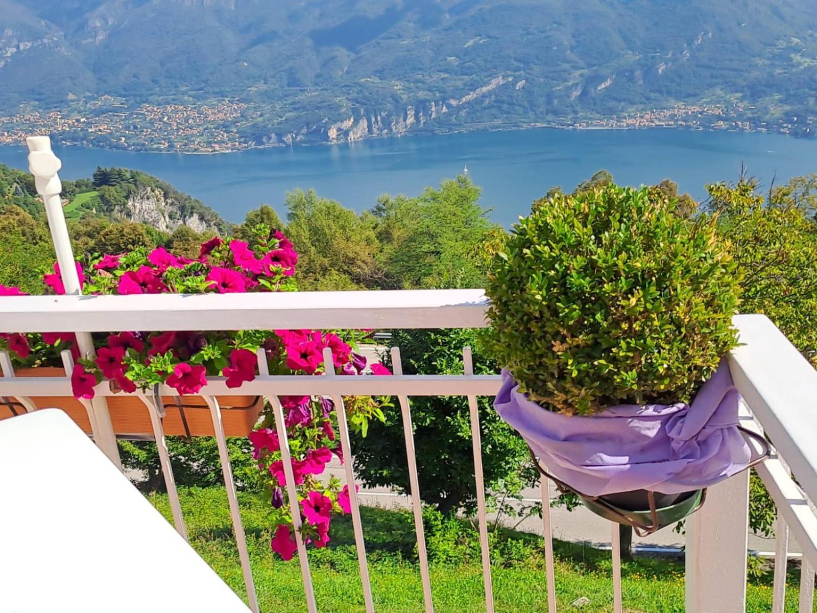Provinciale 79 Hotel Magreglio Luaran gambar