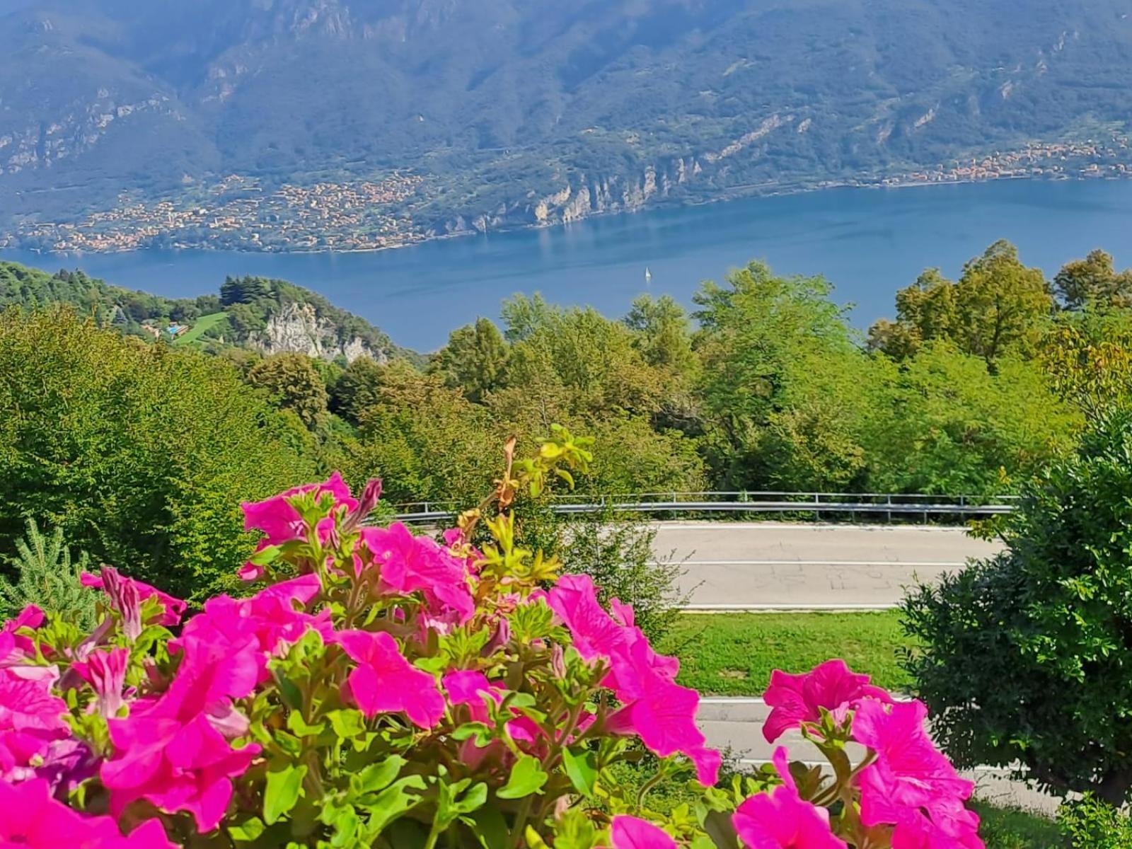 Provinciale 79 Hotel Magreglio Luaran gambar