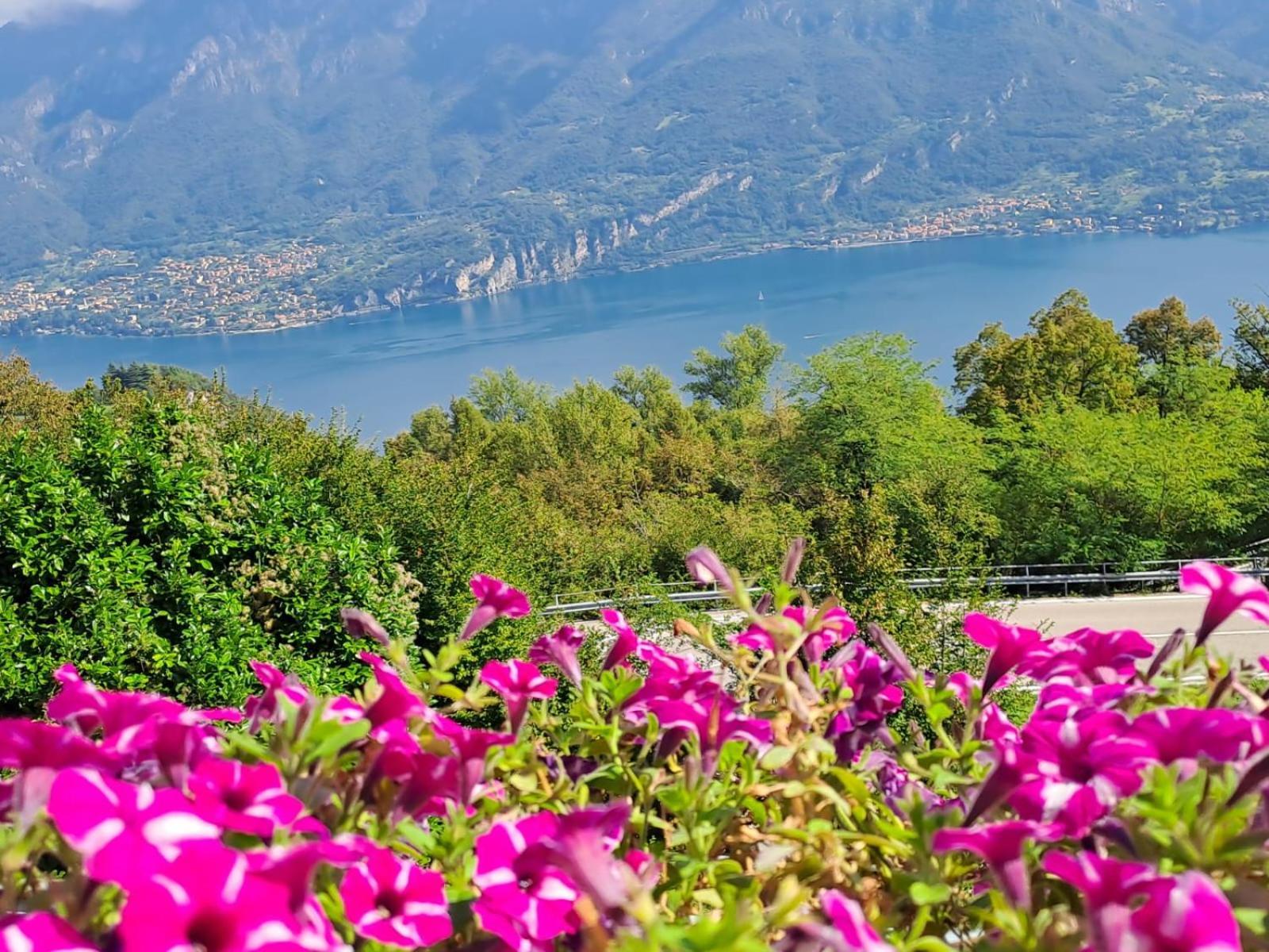 Provinciale 79 Hotel Magreglio Luaran gambar